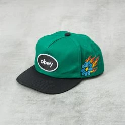Obey Lessons 5 Panel Snapback - Green Multi
